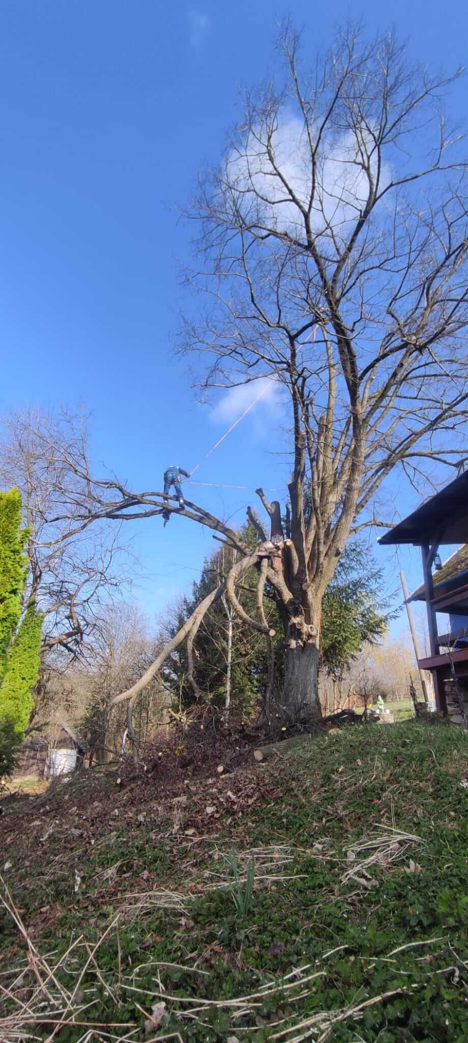 Rizikové kácení stromů Uherské Hradiště